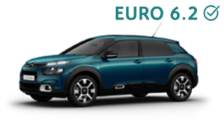 C4 Cactus
